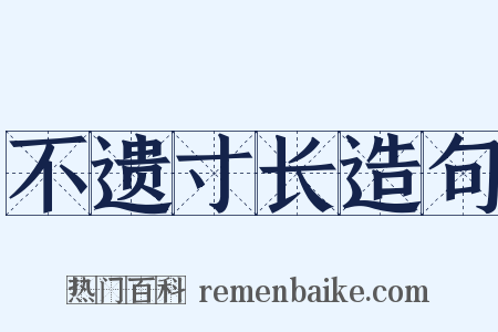 不遗寸长造句是什么意思的图片